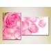 Pictură Magic Color Diptych Pink rose and petals (2613828)