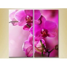 Картина Magic Color Diptych Purple Orchids (2613830)