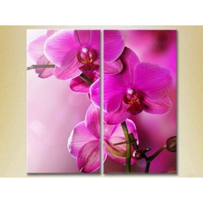 Картина Magic Color Diptych Purple Orchids (2613830)