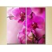 Картина Magic Color Diptych Purple Orchids (2613830)