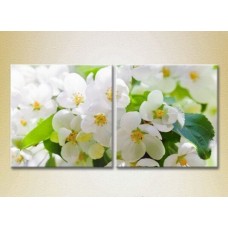 Картина Magic Color Diptych Apple Blossom (2613834)