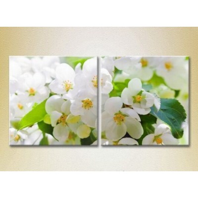 Pictură Magic Color Diptych Apple Blossom (2613834)