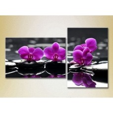 Картина Magic Color Diptych Purple orchids on stones (2613831)