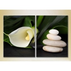 Картина Magic Color Diptych White Calla lilies (2613832)