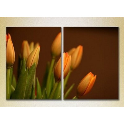 Картина Magic Color Diptych Tulips (2613833)