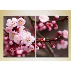 Картина Magic Color Diptych Blossoming branch (2613836)