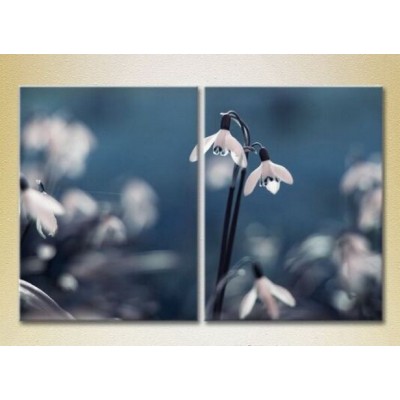 Картина Magic Color Diptych Snowdrops (2613806)