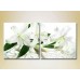 Pictură Magic Color Diptych White Lilies (2613747)