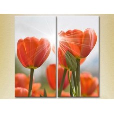 Картина Magic Color Diptych Red tulips (2619624)