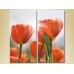 Картина Magic Color Diptych Red tulips (2619624)