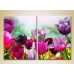 Картина Magic Color Diptych Field of Colorful tulips (2613811)