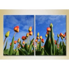 Картина Magic Color Diptych Field of tulips (2613815)