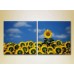 Картина Magic Color Diptych Sunflower Field (2613809)