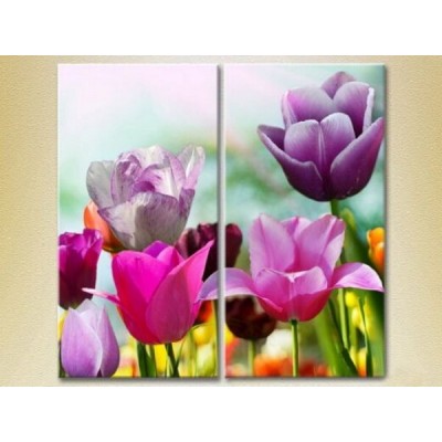 Картина Magic Color Diptych Field of Colorful tulips (2613812)