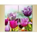 Картина Magic Color Diptych Field of Colorful tulips (2613812)