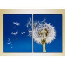 Картина Magic Color Diptych Flying Dandelion (2613820)