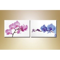 Картина Magic Color Diptych Orchids (2619646)