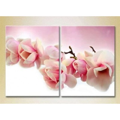 Картина Magic Color Diptych Magnolia (2613821)
