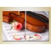 Картина Magic Color Diptych Rose petals and violin (2613789)