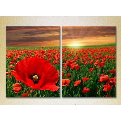 Картина Magic Color Diptych Poppy field (2613792)