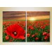 Картина Magic Color Diptych Poppy field (2613792)