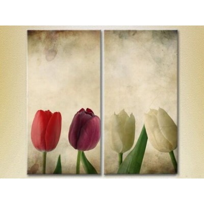 Картина Magic Color Diptych Multicolored tulips (2613816)