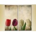 Картина Magic Color Diptych Multicolored tulips (2613816)