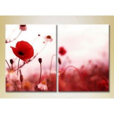 Картина Magic Color Diptych Poppies (2613796)