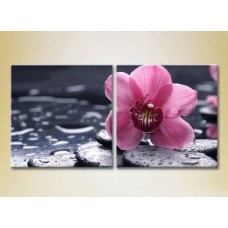 Картина Magic Color Diptych Orchid Violet (2613803)