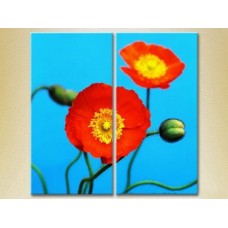 Картина Magic Color Diptych Blooming Poppy (2613817)