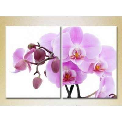 Картина Magic Color Diptych Orchids Lilac with buds (2613805)