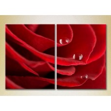 Картина Magic Color Diptych Drops on a Red rose (2613777)