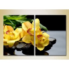 Картина Magic Color Diptych Yellow orchids on stones (2613774)