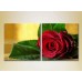 Картина Magic Color Diptych Red Rose (2613778)