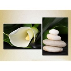 Картина Magic Color Diptych White Calla lilies (2613780)