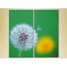 Картина Magic Color Diptych Dandelion on a Green background (2613799)