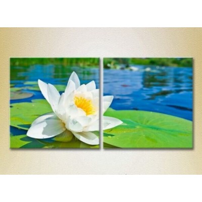 Картина Magic Color Diptych Water Lily (2613782)