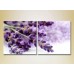 Картина Magic Color Diptych Lavender (2613784)