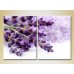 Картина Magic Color Diptych Lavender (2613785)