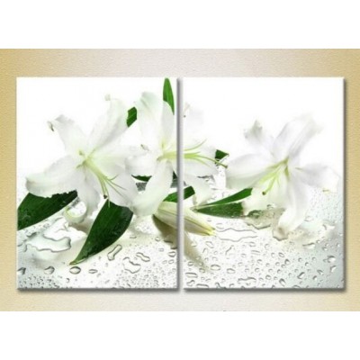 Картина Magic Color Diptych White Lilies (2613755)