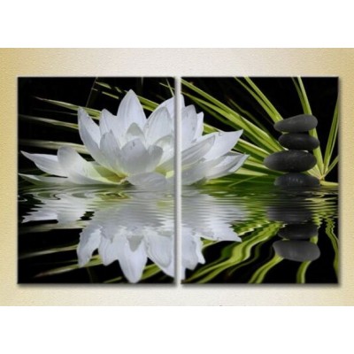 Картина Magic Color Diptych Water lily and massage stones (2613757)