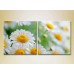 Картина Magic Color Diptych Bouquet of daisies (2613758) Картина Magic Color Diptych Bouquet of daisies (2613758)