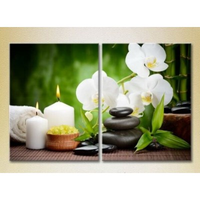 Картина Magic Color Diptych White orchids and bamboo (2613765)