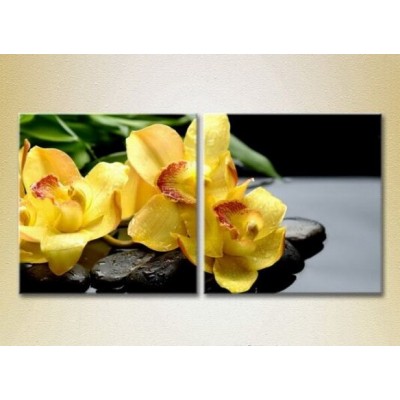 Картина Magic Color Diptych Yellow orchids on stones (2613768)