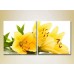 Картина Magic Color Diptych Yellow Lilies (2613767)