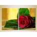 Картина Magic Color Diptych Red Rose (2613781)