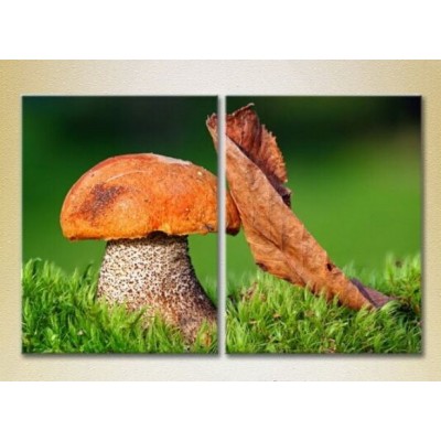 Картина Magic Color Diptych Mushroom and leaf (2613761)