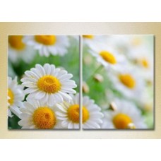 Картина Magic Color Diptych Bouquet of daisies (2613756)