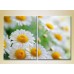 Pictură Magic Color Diptych Bouquet of daisies (2613756)