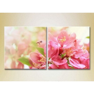 Картина Magic Color Diptych Pear Blossom and the Bee (2613763)